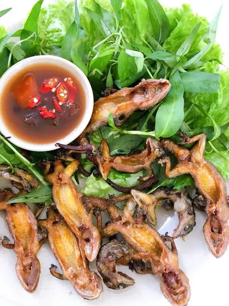 Thằn lằn núi Bà Đen